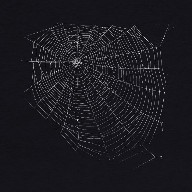 Spiders Web by zeljkica